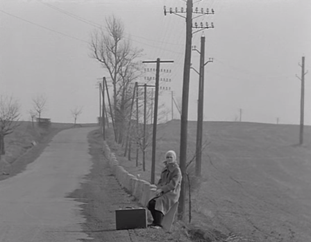 loves of a blonde 3.png