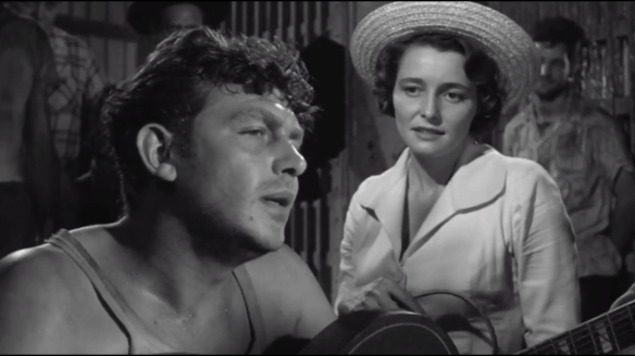 a face in the crowd 1.png