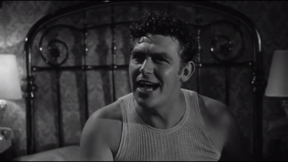 a face in the crowd 2.png