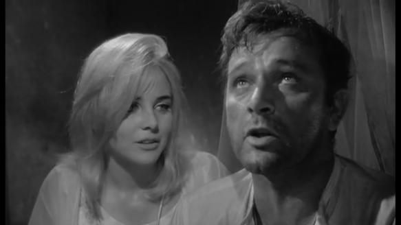 night of the iguana 2